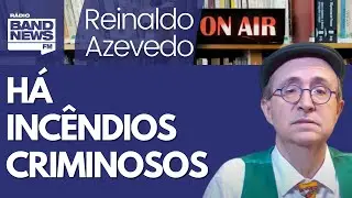 Reinaldo: Meio Ambiente e agro disputam a Autoridade Ambiental; criminosos na cadeia