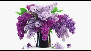 [FREE 3D MODEL] Lilac Flower 3D Models for Free