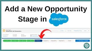 Add New Opportunity Stages in Salesforce | Salesforce Lightning Tutorials