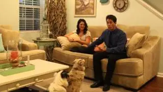 1st time parents baby announcement with dogs