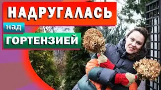 Скелеты в углу, издеваюсь над Фантомом, укладываю Жасмину.