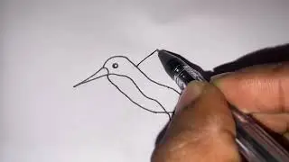 How to Draw A Bird Easy step by step