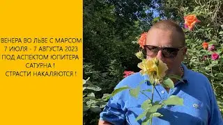 ВЕНЕРА ВО ЛЬВЕ С МАРСОМ 7 ИЮЛЯ - 7 АВГУСТА 2023 ! СТРАСТИ НАКАЛЯЮТСЯ !