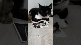 СКУЧАЕТ ЛИ ОН?