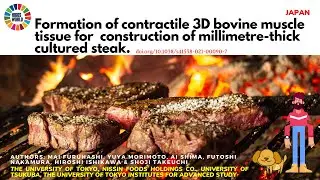 3D bovine muscle tissue | cultured steak | Science News and Research News