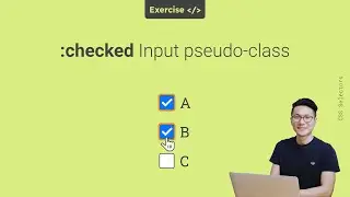 :checked CSS pseudo-class selector - 🚀 Exercise