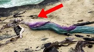 Most MYSTERIOUS Mermaid Sightings Ever Recorded!