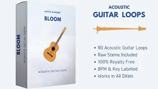 Acoustic Guitar Loops | Guitar Sample Pack | Royalty Free