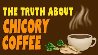 CHICORY COFFEE - The best health coffee alternative