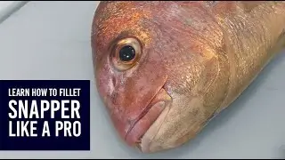 How to fillet, skin and debone New Zealand snapper (tāmure)