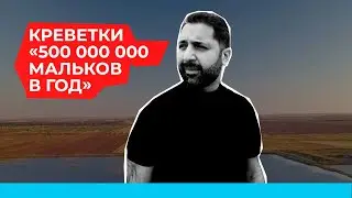 Самый крупный инкубатор креветок в Европе. Экологичный бизнес в Крыму. Экоферма Эллас