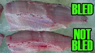 Catch and Cook - ice fishing for tasty Simcoe whitefish