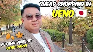 Cheap Shopping in Ueno + Autumn Vibes Stroll at Ueno Park! | JM BANQUICIO