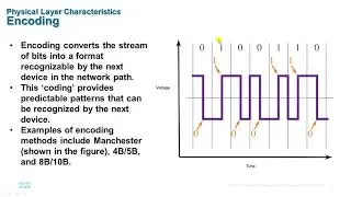 module 4 Physical Layer ccna v7