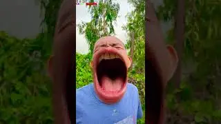 BiBoBen #Shorts | Greedy wife ate my ice cream | Hảo bà vợ xấu tính lấy mất chiếc kem của tôi 🍦🍦🍦