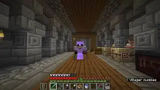 Minecraft #2 | Improvising a proper Trading Hall. (Read description/Leer descripción)