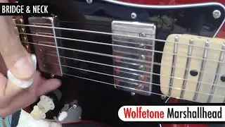 Wolfetone Dr. Vintage vs. Wolfetone Marshallhead