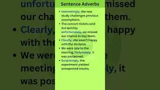 Sentence Adverbs in English Grammar 