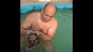 Лера учит ПЛАВАТЬ МОЛЛИ в БАССЕЙНЕ / how to teach a dog to swim #shorts