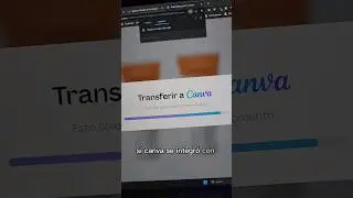 CANVA | Quitar el fondo GRATIS