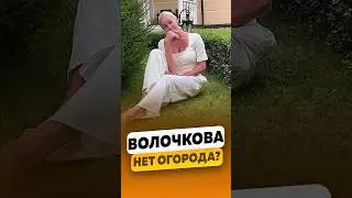 Анастасия Волочкова - О своём участке за 3.000.000$ без огорода / интервью #волочкова #shorts