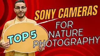 Top 5 Sony Cameras For Nature Photography