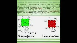 Зелёная кровь. Хлорофилл