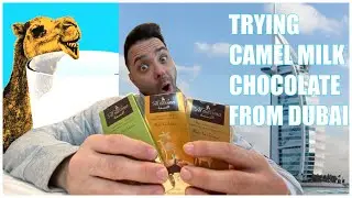 Trying Camel Milk Chocolate From Dubai!