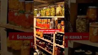 Не забывайте про запас продуктов и лекарств. Советы ветеранов боевых действий 