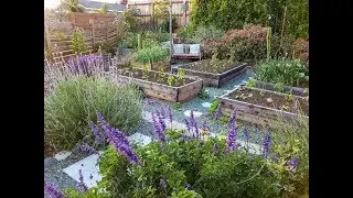 Spring Tour in the Front Yard Garden