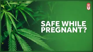 Is Marijuana Safe During Pregnancy?