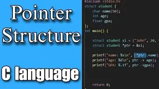 Pointer to Structure in C Language - Beginner's Tutorial