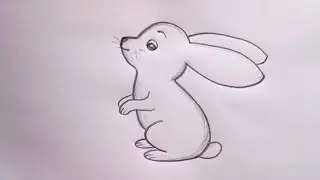 how to draw rabbit drawing easy step by step