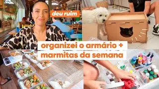 ORGANIZANDO OS ARMÁRIOS + ALMOÇO QUE DEU ERRADO + MARMITAS DA SEMANA | JULIANA LOUISE