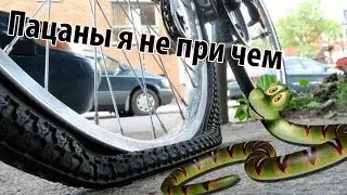 Что такое Змеиный укус