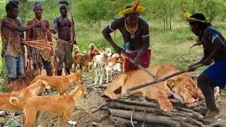 Tragic Lion! These Heartless Maasai Aborigines Attack Lion Brutally Just To Rob Food