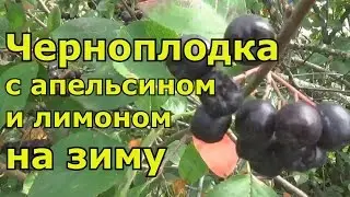 Черноплодка на зиму с апельсином и лимоном. Натуральное лекарство!