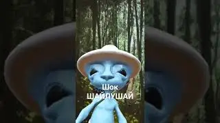Шок ШАЙЛУШАЙ 