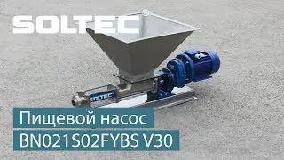 Пищевой насос SOLTEC ® BN021S02FYBS V30 для подачи пищевых начинок на оборудование дозации