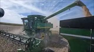 Really Rolling In The Beans Now