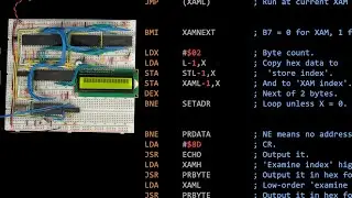 Adapting WozMon for the breadboard 6502