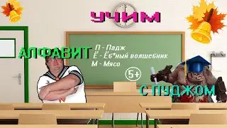 учим алфавит с пуджом
