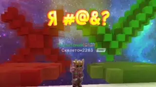 ПРАВДА ИЛИ ЛОЖЬ С ПОДПИСЧИКОМ НА 60 ГКУБОВ В СКАЙ БЛОК БЛОКМЕН ГО | 60 Gcubes Sky Block Blockman Go