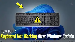 Fix Keyboard Not Working After Update In Windows 11/10 | How To Solve keyboard Issues after update