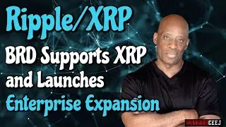 Xrp Ripple Daily News: