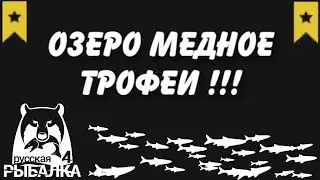 Тур на Озеро медное. Закрываем трофеи! Русская рыбалка 4.