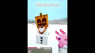 Bedrock VS Java Addons 💀