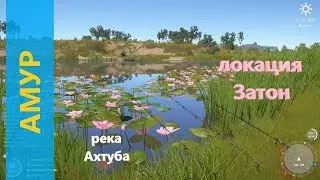 Русская рыбалка 4 - река Ахтуба - Амур в пруду