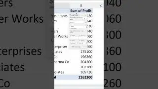 A tiny but very useful Pivot Table Trick || Excel Tricks #shorts #exceltips