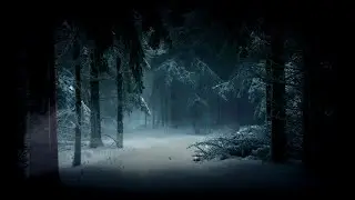 Forest | Nature | Waterfalls | Trees | Free HD Videos - No Copyright footage